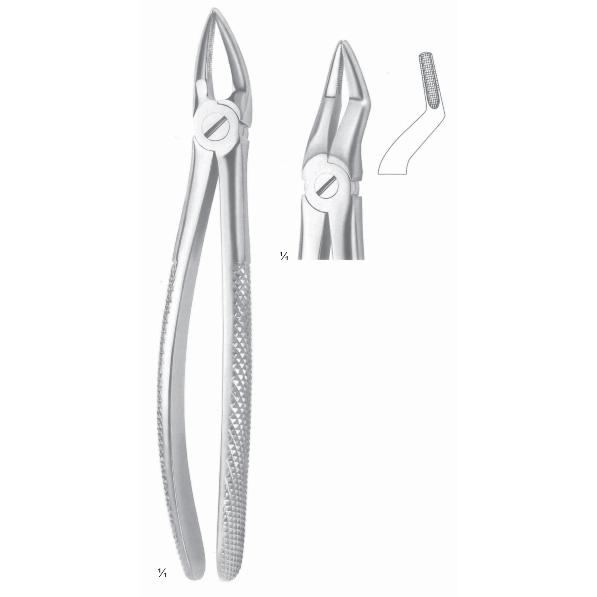Extracting Forceps Roots Surgery Instrument – Dr Frigz