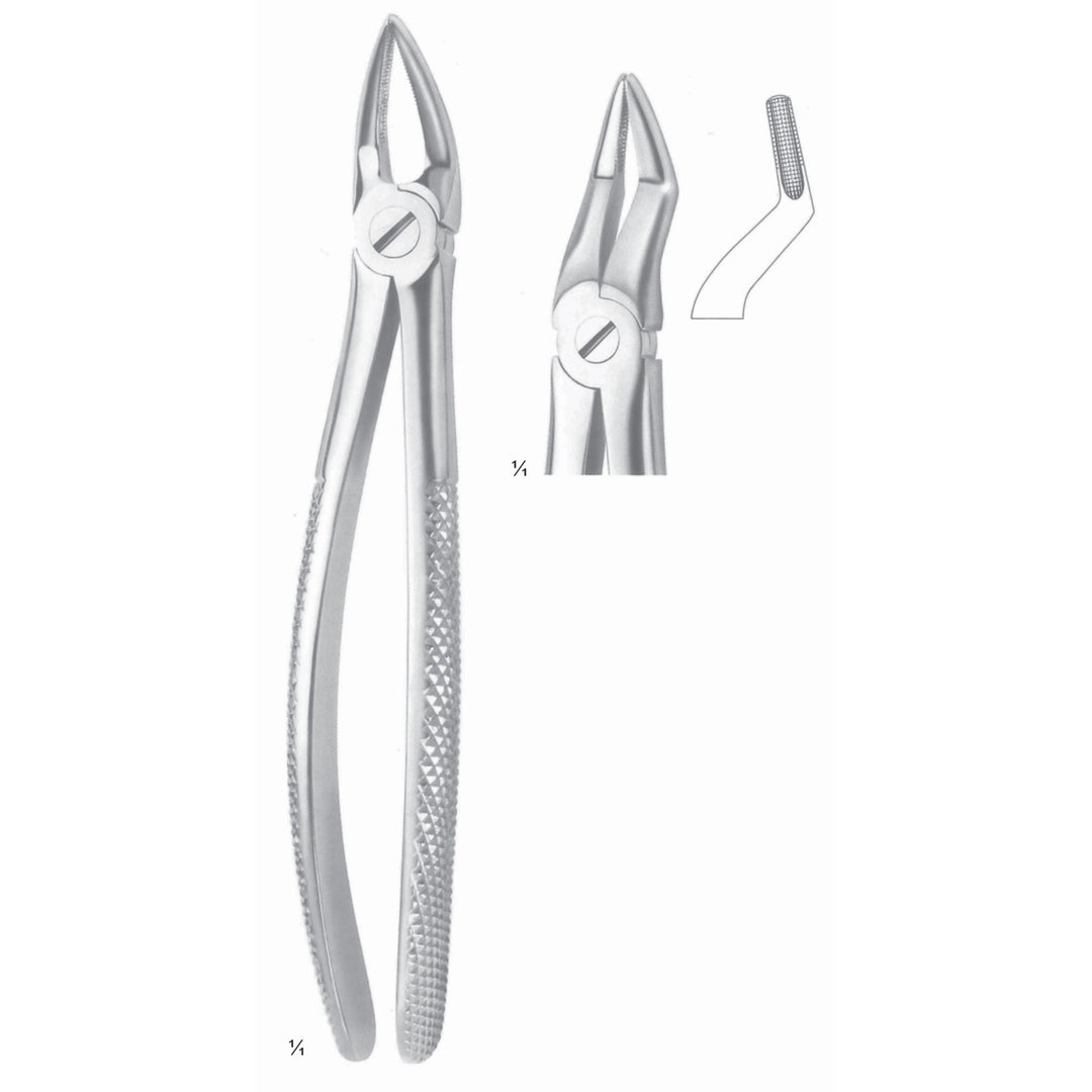 Extracting Forceps Roots Fig 51 (M-087-51) by Dr. Frigz