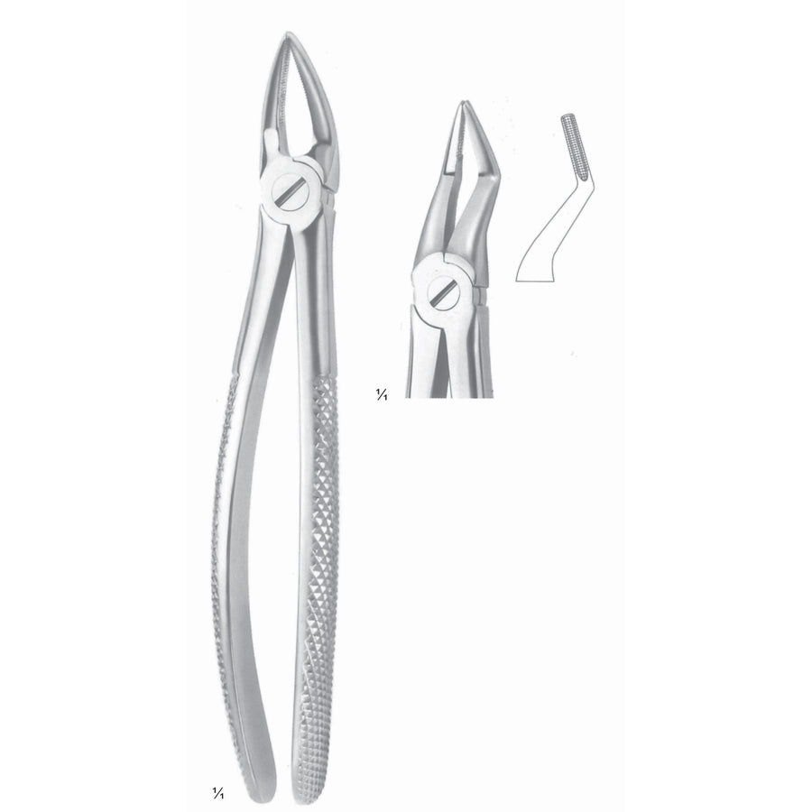 Extracting Forceps Roots, Very Fine Break Fig 51 A (M-088-51A) by Dr. Frigz