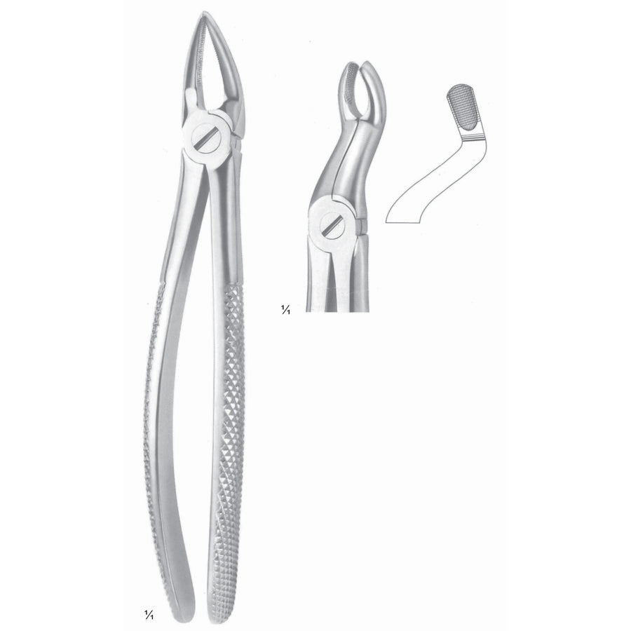 Extracting Forceps Third Molars Fig 67 A (M-089-67A) by Dr. Frigz