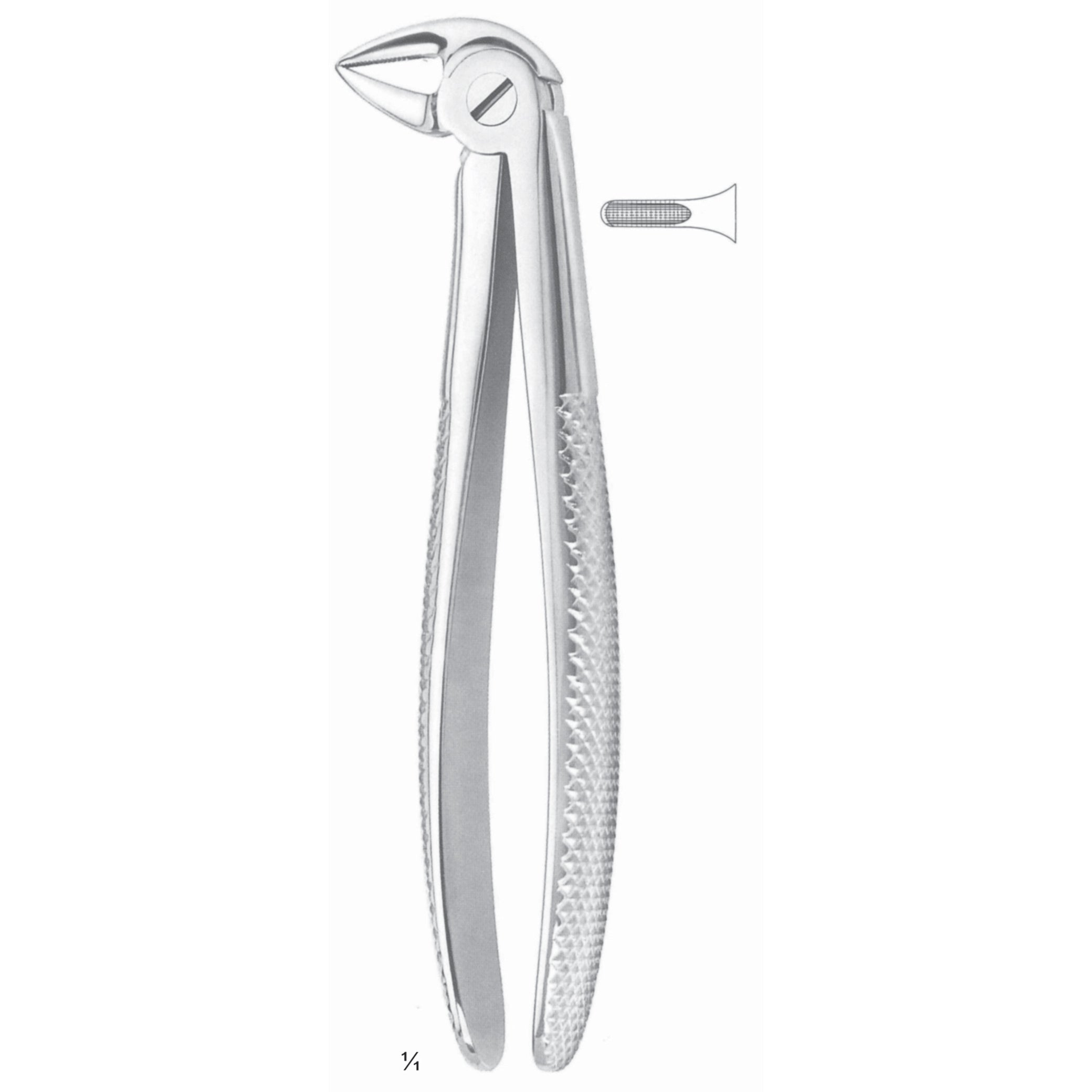 Extracting Forceps Roots Surgery Instrument – Dr Frigz