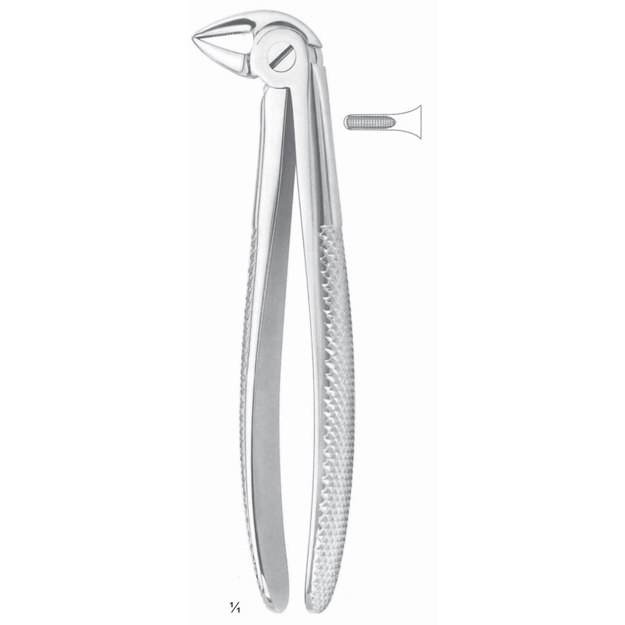 Extracting Forceps Roots Fig 33 (M-092-33) by Dr. Frigz