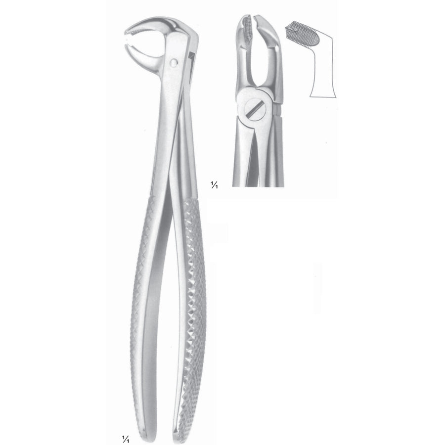 Extracting Forceps Third Molars Fig 79 (M-096-79) by Dr. Frigz