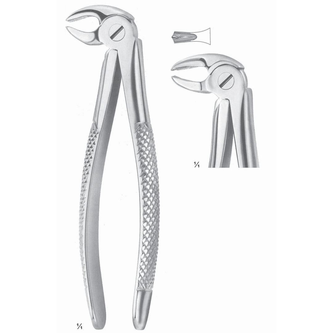 Extracting Forceps Molars Fig 22 S (M-098-22S) by Dr. Frigz