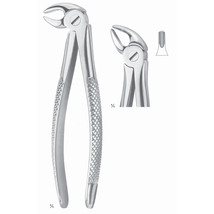 Extracting Forceps Incisors And Cuspids Fig 38 (M-100-38) by Dr. Frigz