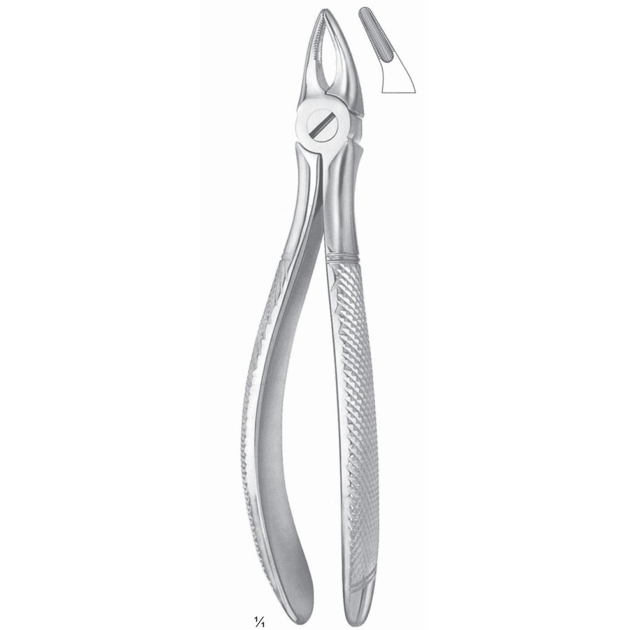 Extracting Forceps Incisors And Roots Fig 30 S (M-101-30S) by Dr. Frigz