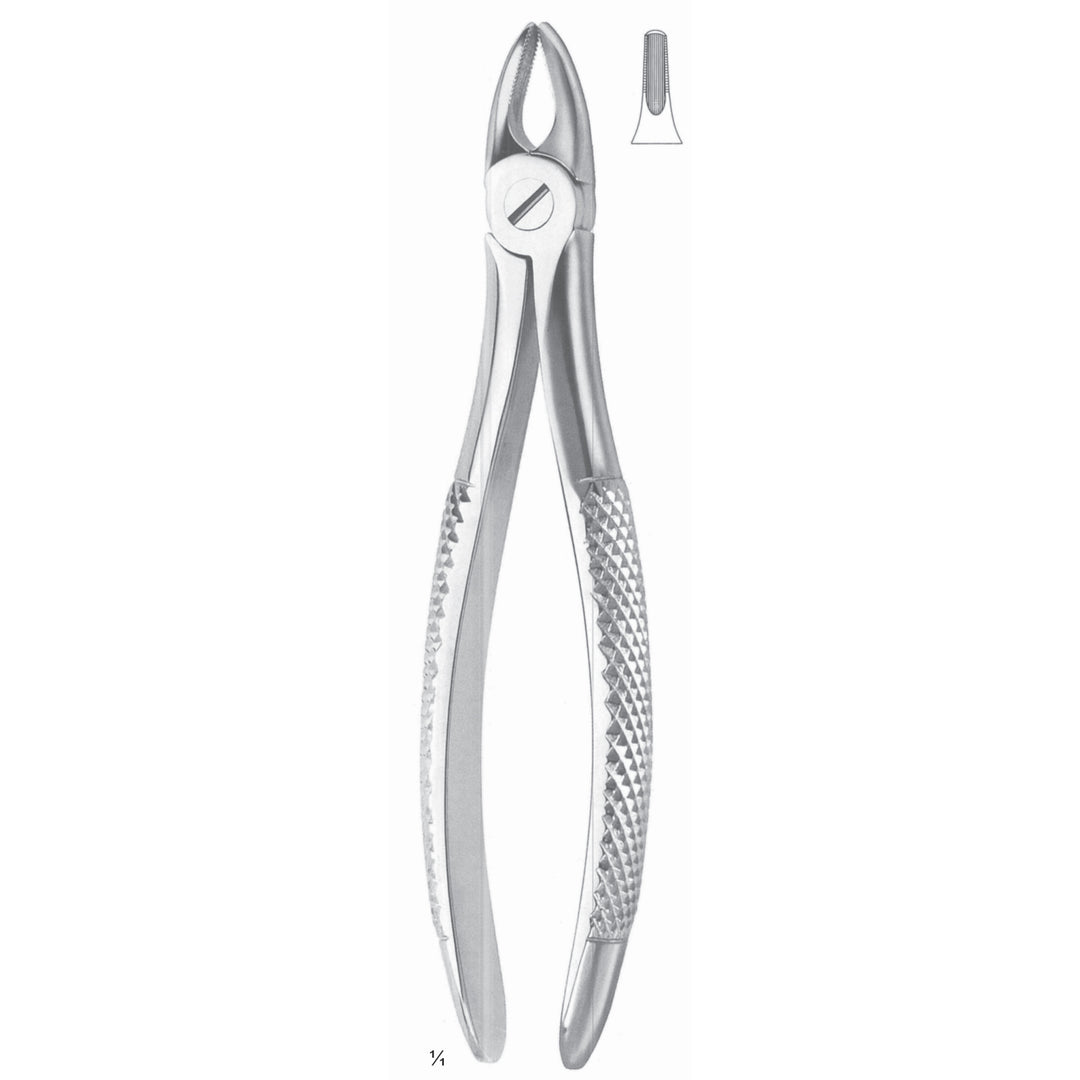 Extracting Forceps Incisors And Cuspids Fig 37 (M-102-37) by Dr. Frigz