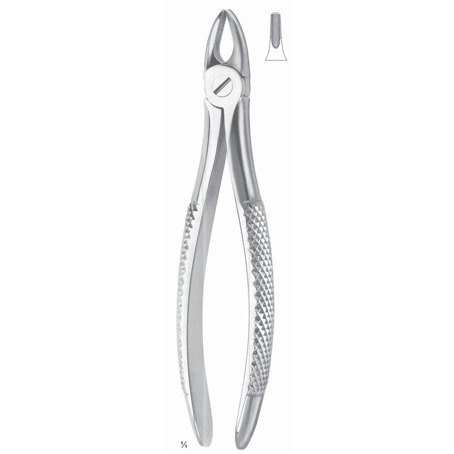 Extracting Forceps Incisors And Cuspids Fig 37 (M-102-37) by Dr. Frigz