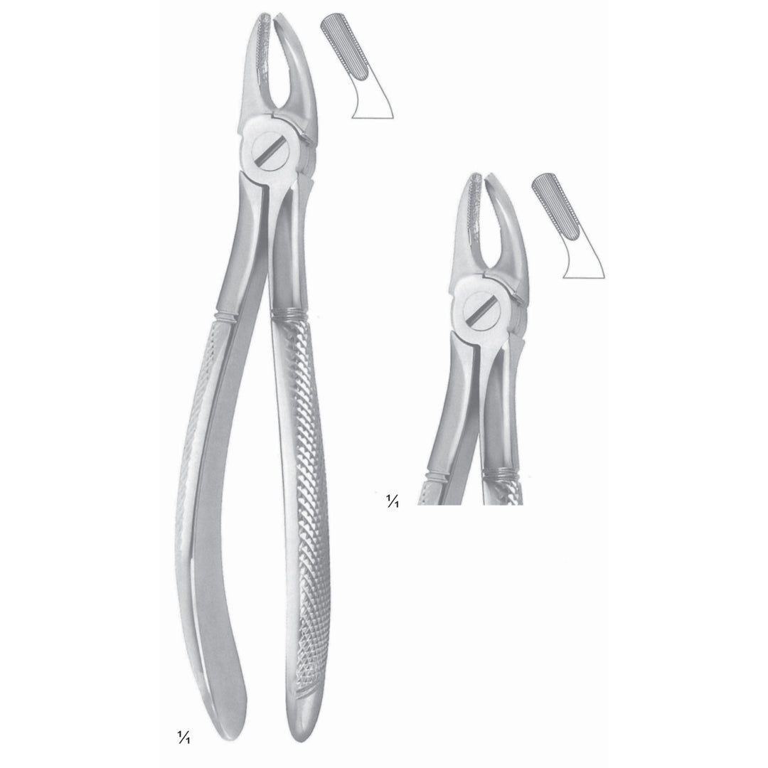 Extracting Forceps Molars Fig 39 (M-103-39) by Dr. Frigz