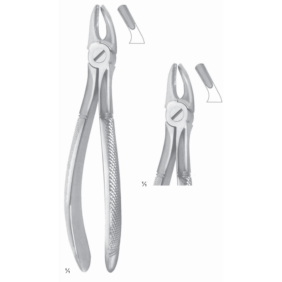 Extracting Forceps Molars Fig 39 (M-103-39) by Dr. Frigz