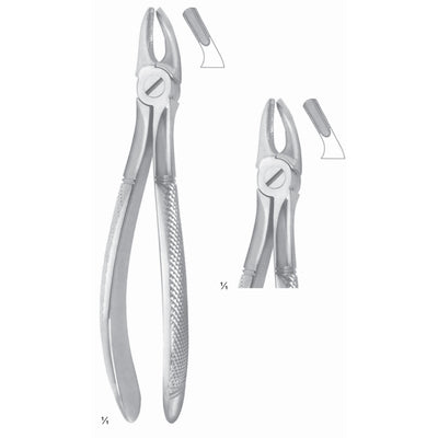 Extracting Forceps Molars Fig 39 (M-103-39)