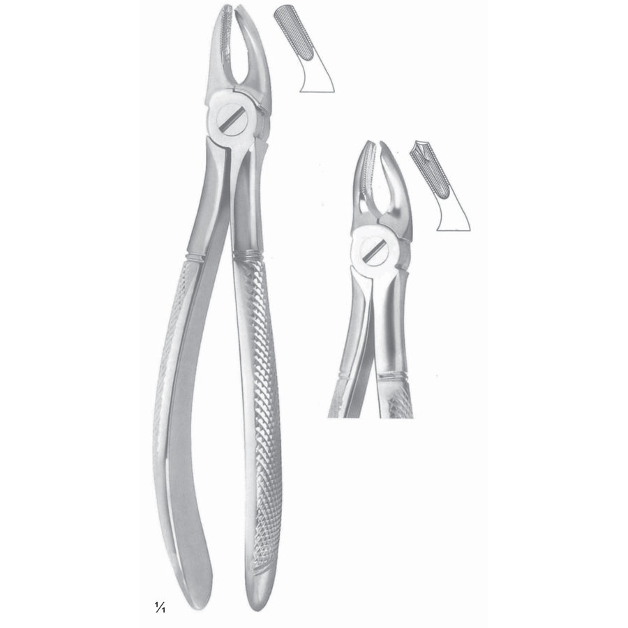 Extracting Forceps Molars Fig 39 A (M-104-39A) by Dr. Frigz