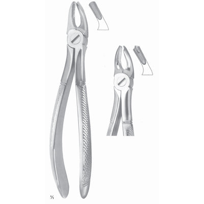 Extracting Forceps Molars Fig 39 A (M-104-39A)