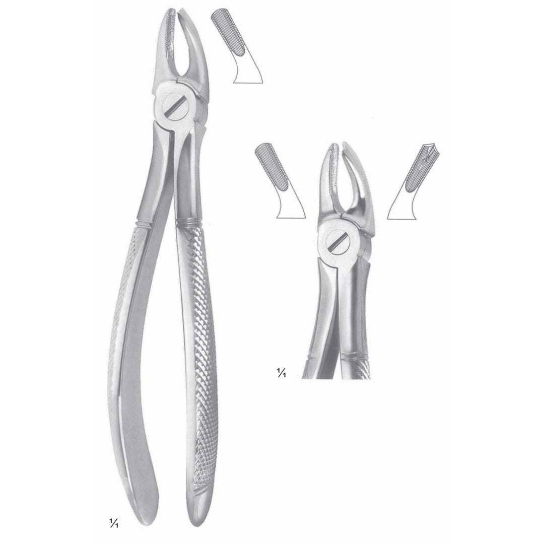 Extracting Forceps Molars, Left Fig 39 L (M-105-39L) by Dr. Frigz