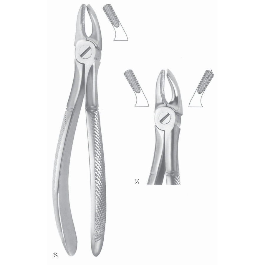 Extracting Forceps Molars, Left Fig 39 L (M-105-39L) by Dr. Frigz