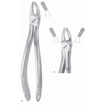 Extracting Forceps Molars, Left Fig 39 L (M-105-39L)