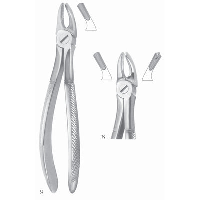 Extracting Forceps Molars, Left Fig 39 L (M-105-39L)