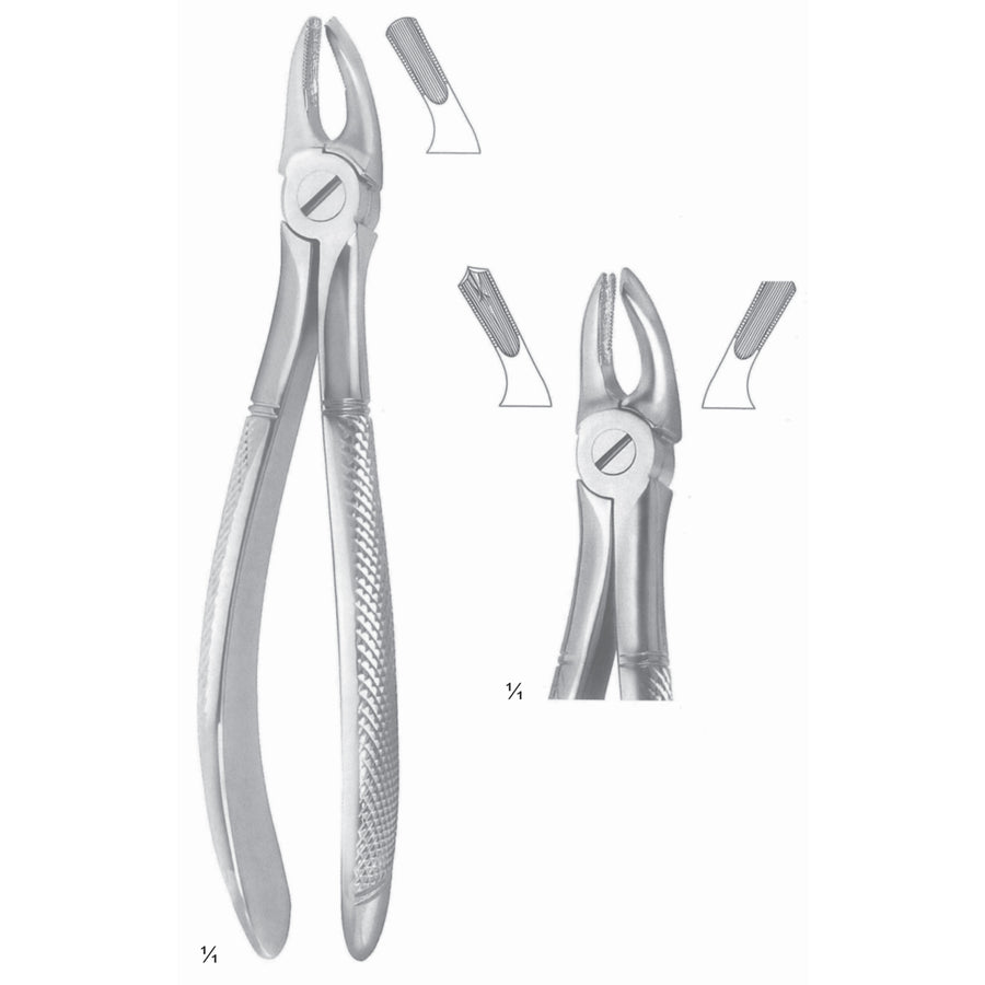 Extracting Forceps Molars, Right Fig 39 R (M-106-39R) by Dr. Frigz