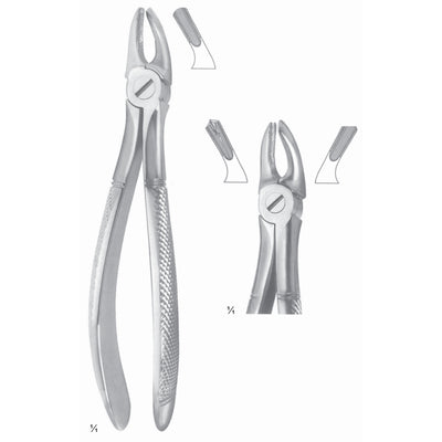 Extracting Forceps Molars, Right Fig 39 R (M-106-39R)
