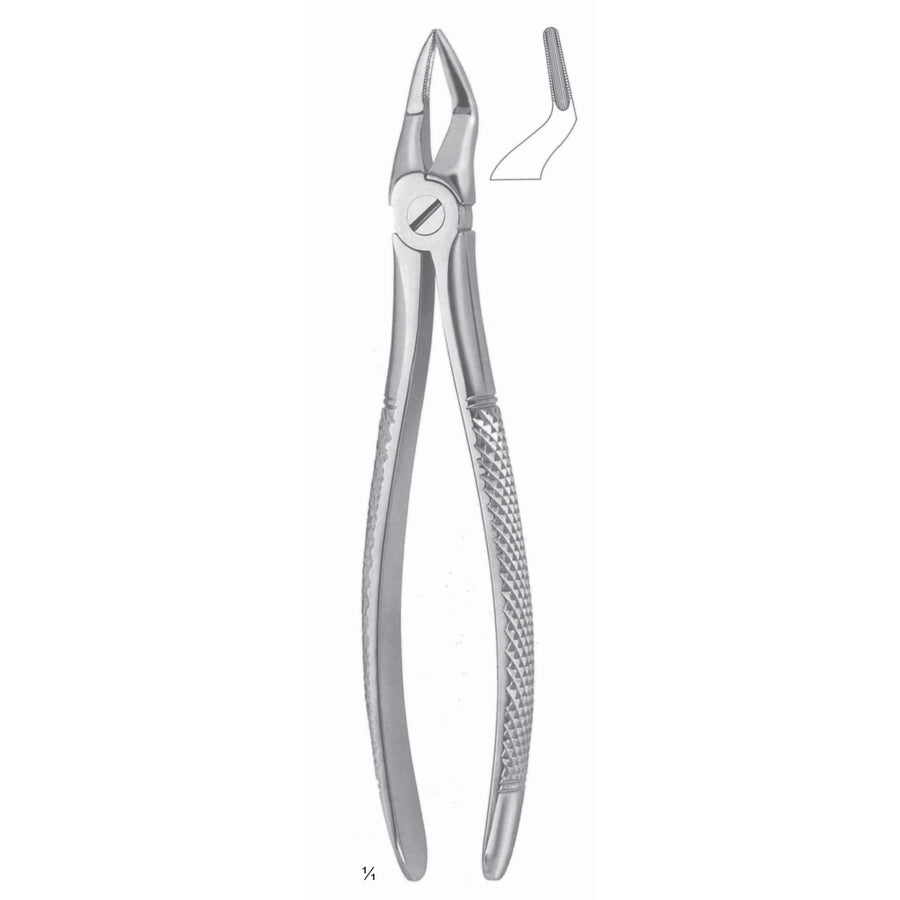 Extracting Forceps Upper Jaw Fig 51 S (M-107-51S) by Dr. Frigz