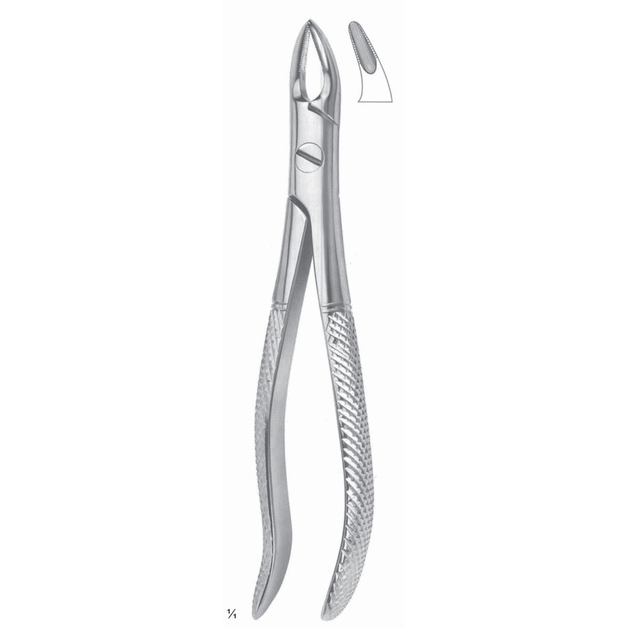 Lawrence-Read Extracting Forceps Upper Jaw Fig 76 S (M-108-76S) by Dr. Frigz