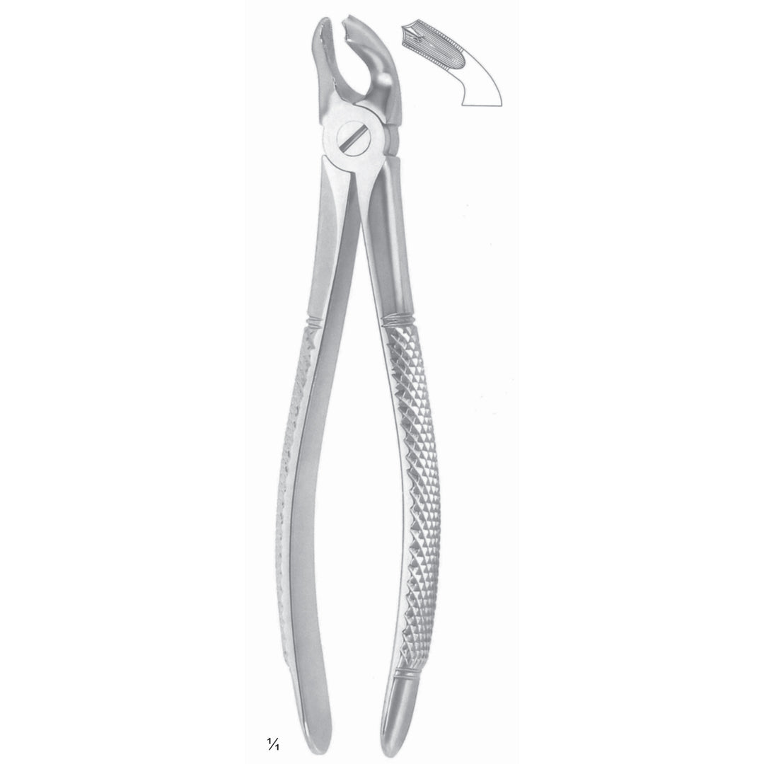 Extracting Forceps Lower Jaw Fig 40 (M-109-40) by Dr. Frigz