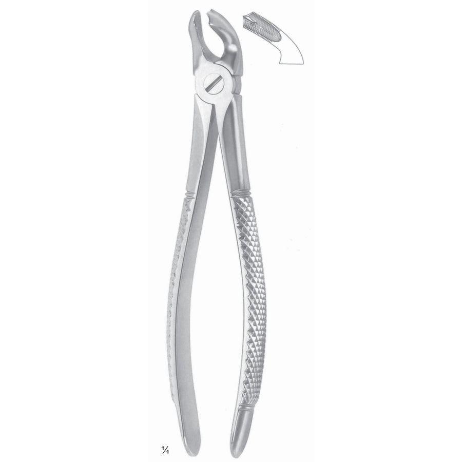 Extracting Forceps Lower Jaw Fig 40 (M-109-40) by Dr. Frigz