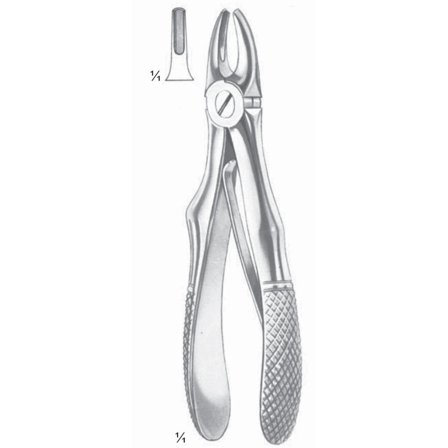 Klein Extracting Forceps Upper Incisors (M-110-01) by Dr. Frigz