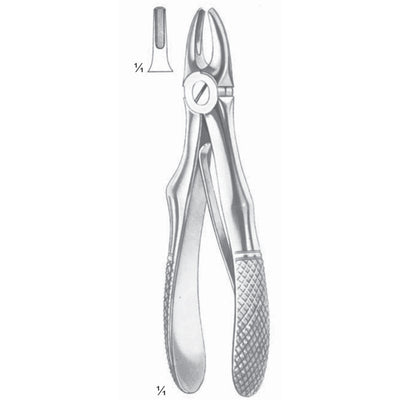 Klein Extracting Forceps Upper Incisors (M-110-01)
