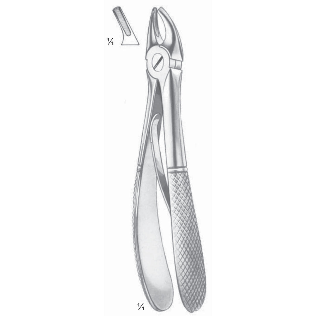 Klein Extracting Forceps Upper Premolars (M-111-02) by Dr. Frigz