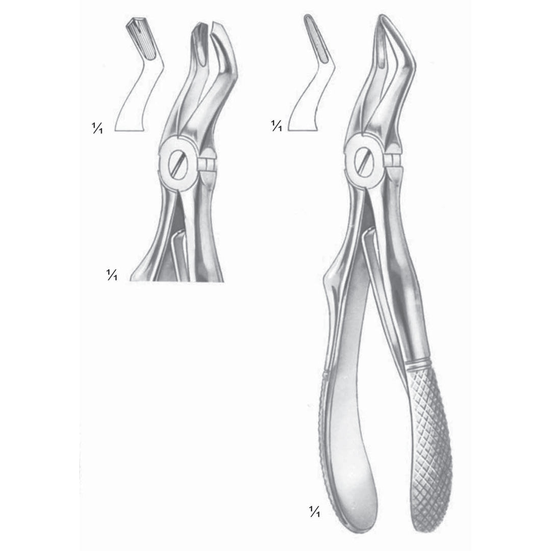 Klein Extracting Forceps Upper Molars (M-112-03) by Dr. Frigz
