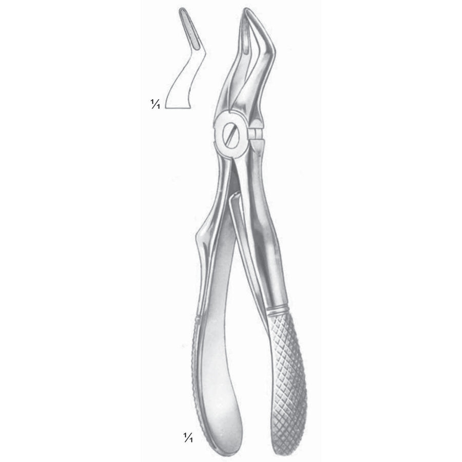 Klein Extracting Forceps Upper Roots (M-113-04) by Dr. Frigz