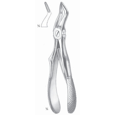 Klein Extracting Forceps Upper Roots (M-113-04)