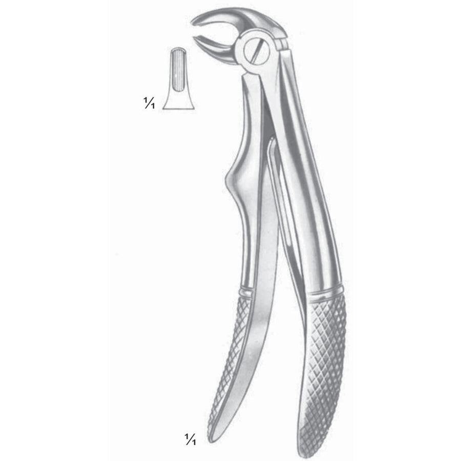 Klein Extracting Forceps Lower Incisors (M-114-05) by Dr. Frigz