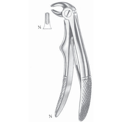 Klein Extracting Forceps Lower Incisors (M-114-05)