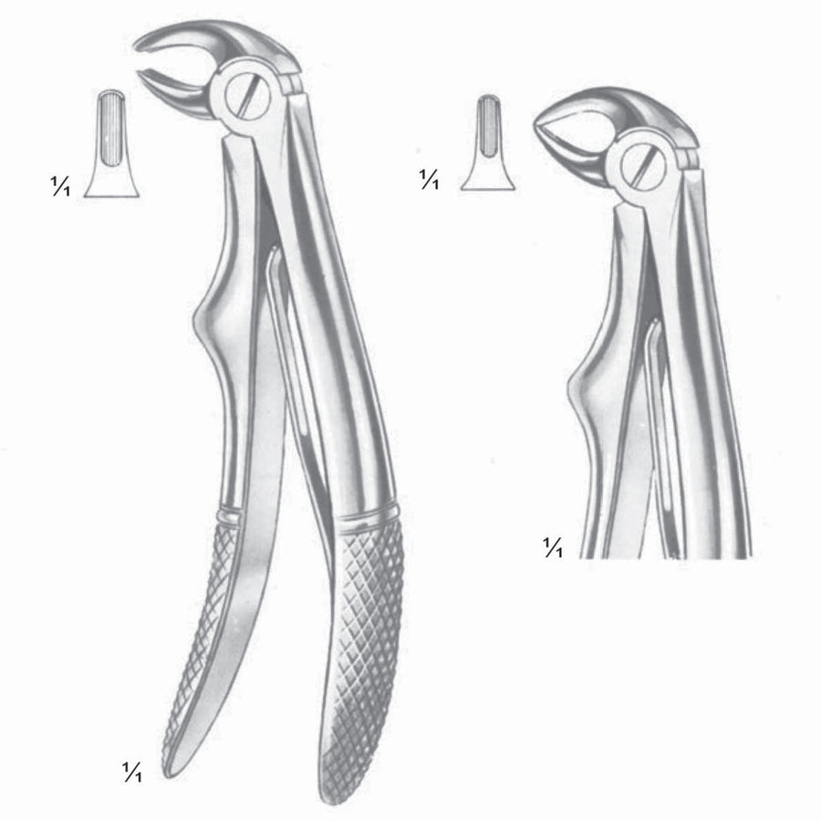 Klein Extracting Forceps Lower Roots (M-116-07) by Dr. Frigz