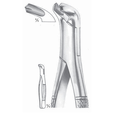 Extracting Forceps Lower Molars Fig 17 (M-119-17)
