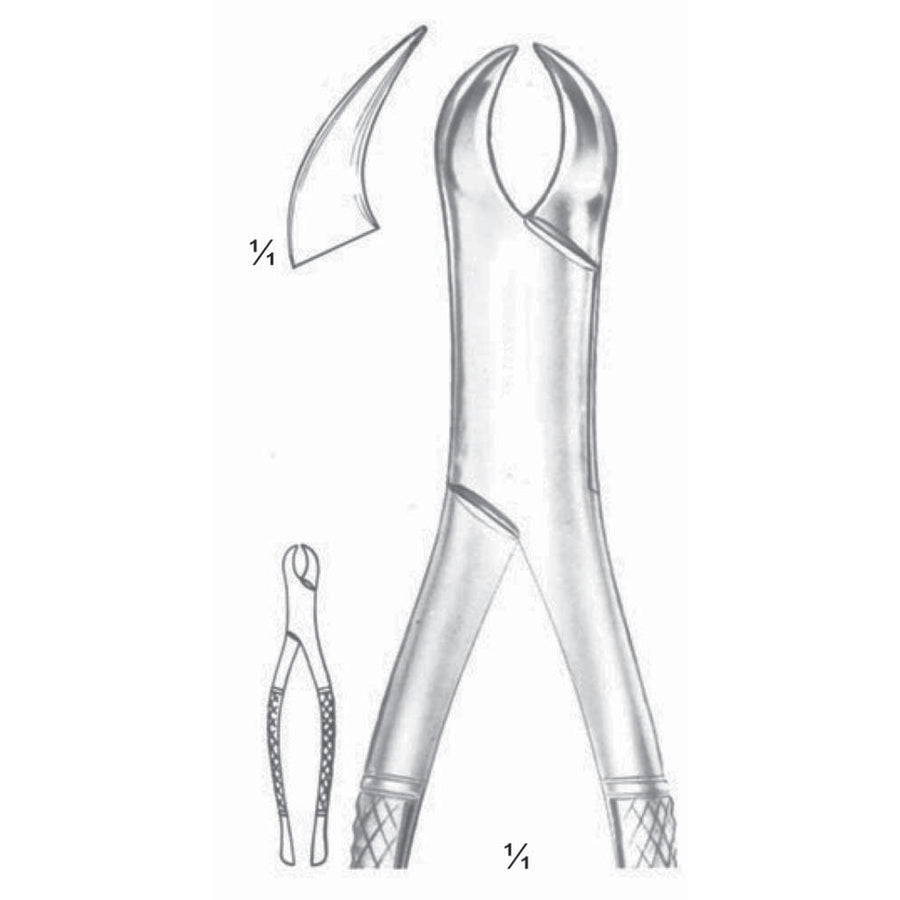 Extracting Forceps Lower Molars Fig 23 (M-120-23) by Dr. Frigz