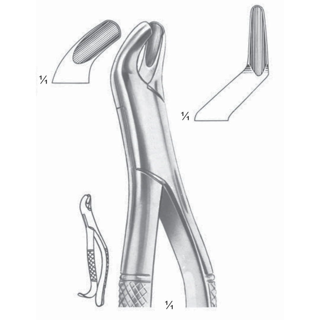 Extracting Forceps Incisors, Premolars, Deciduous Teeth Fig 62 (M-121-62) by Dr. Frigz