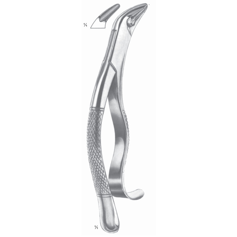 Thomas Extracting Forceps Lower Canines, Premolar And Molars Fig 85 (M-122-85) by Dr. Frigz