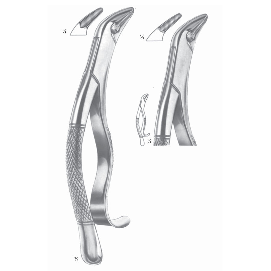 Thomas Extracting Forceps Lower Canines, Premolar And Molars Fig 85 A (M-123-85A) by Dr. Frigz
