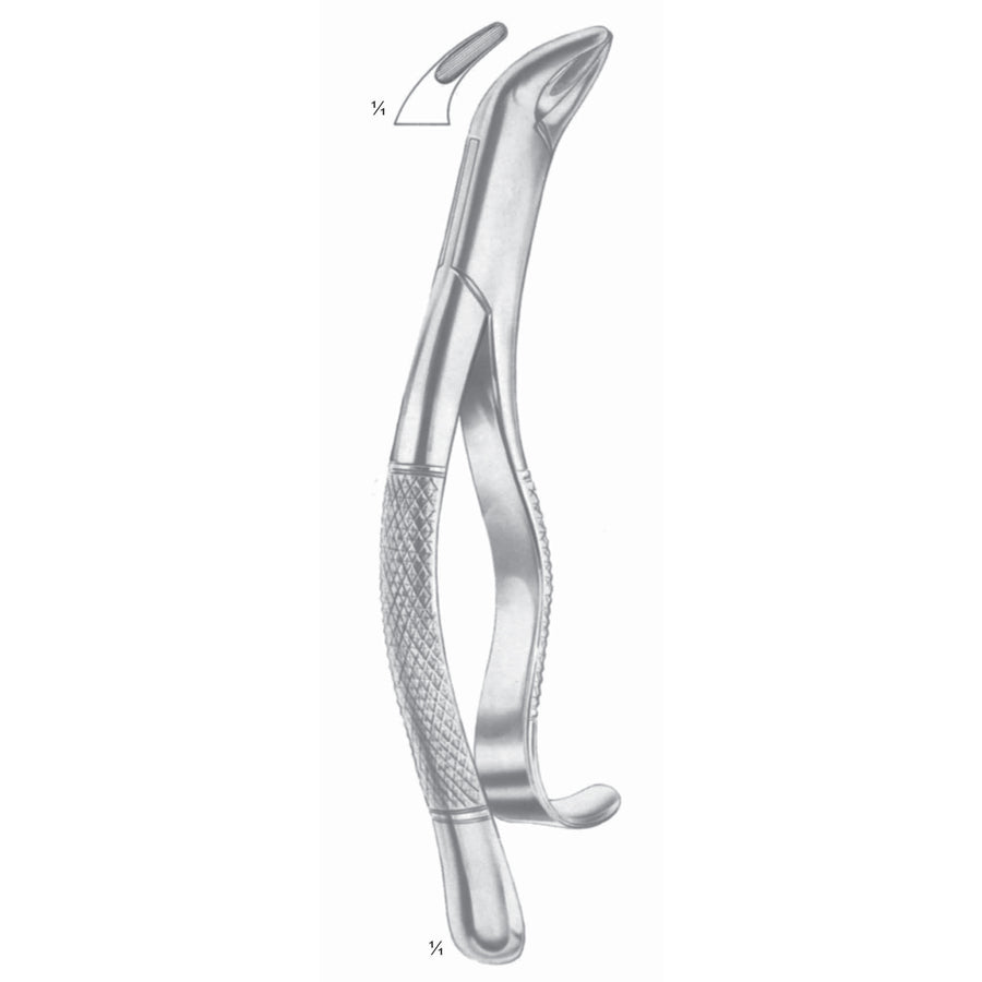 Extracting Forceps Lower Incisors, Premolars, Roots Fig 103 (M-124-103) by Dr. Frigz