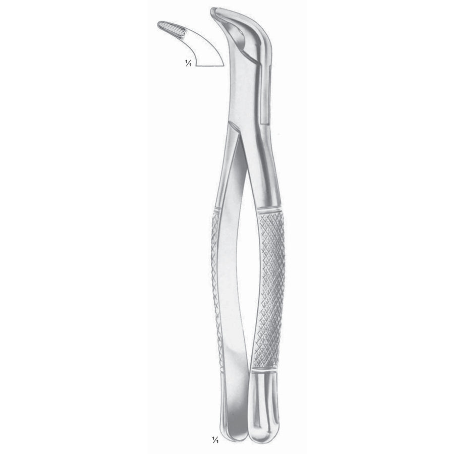 Extracting Forceps Lower Incisors And Roots Fig 203 (M-127-203) by Dr. Frigz