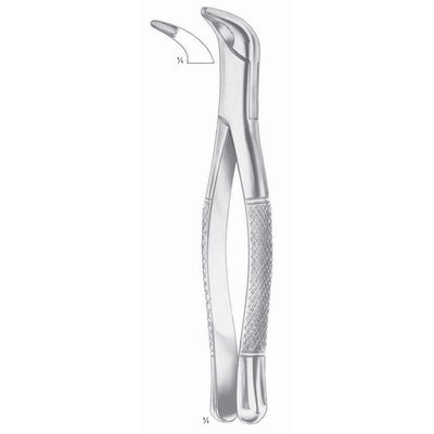 Extracting Forceps Lower Incisors And Roots Fig 203 (M-127-203)