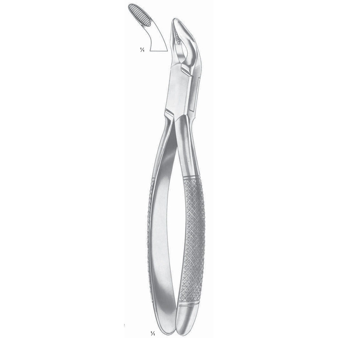 Extracting Forceps Seprating Forceps Fig 6 (M-131-06) by Dr. Frigz