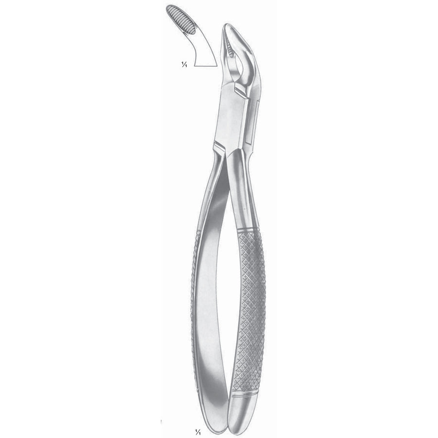 Extracting Forceps Seprating Forceps Fig 6 (M-131-06) by Dr. Frigz