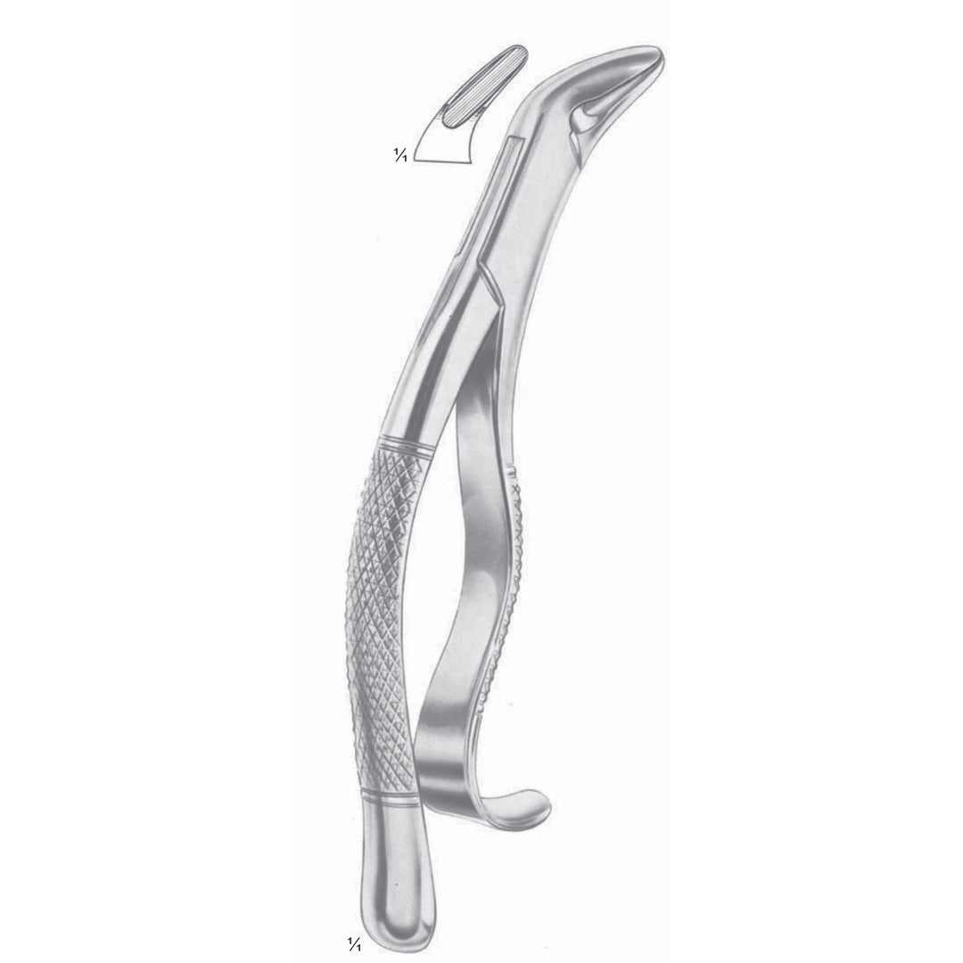 Extracting Forceps Lower Canines, Premolars Fig 288 (M-134-288) by Dr. Frigz