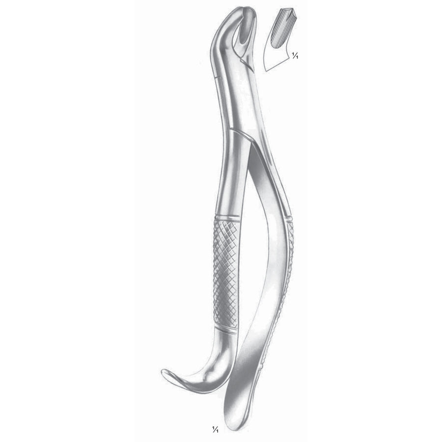 Harris Extracting Forceps Upper Molars, Right Fig 18 R (M-136-18R) by Dr. Frigz