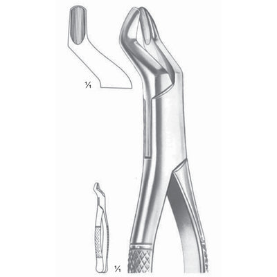Extracting Forceps Upper Molars Fig 10 S (M-138-10S)