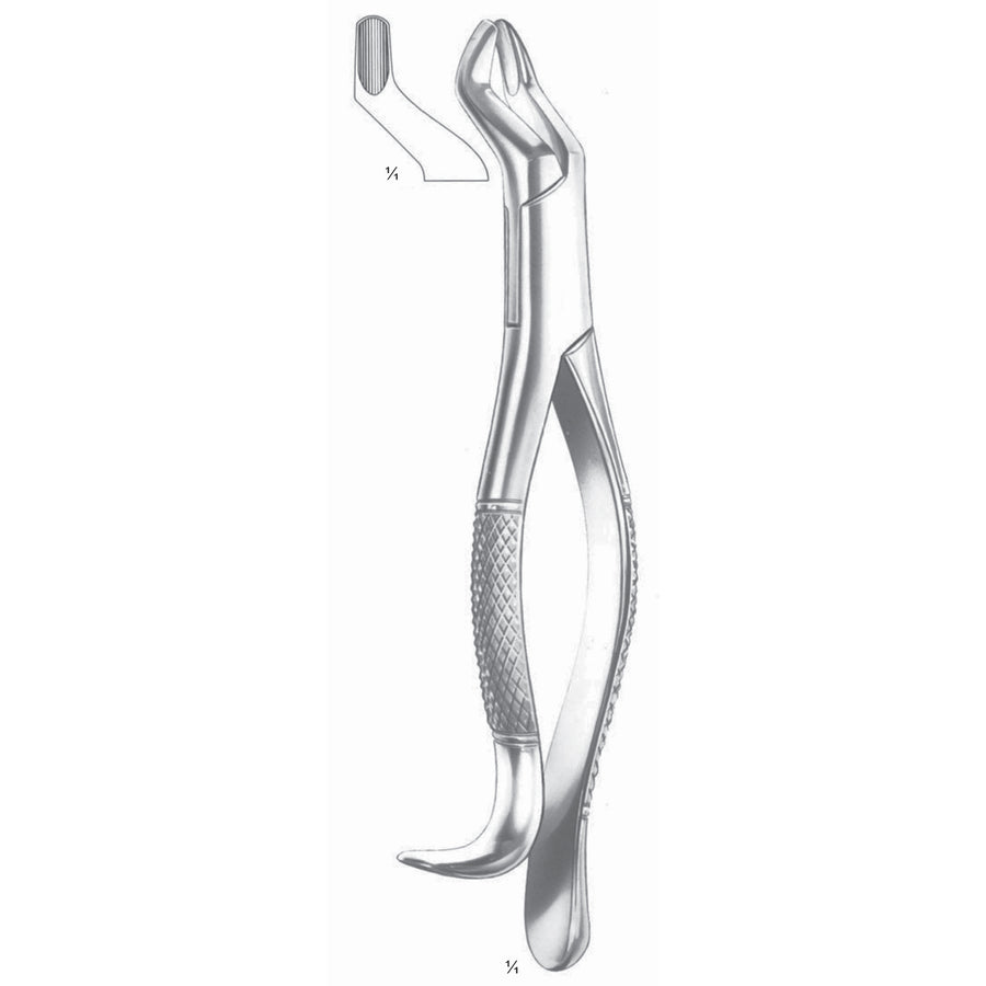 Extracting Forceps Upper Molars Fig 10 H (M-139-10H) by Dr. Frigz